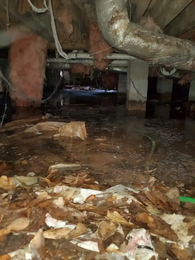 Crawl space flood assessment for Leak Detection & Repair in Brighton