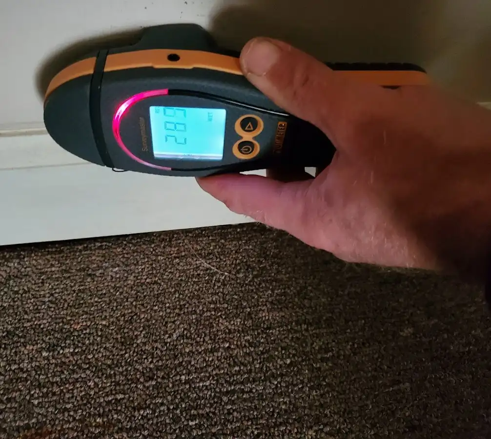 Moisture detection at baseboard during Burst Pipe Cleanup in Brighton