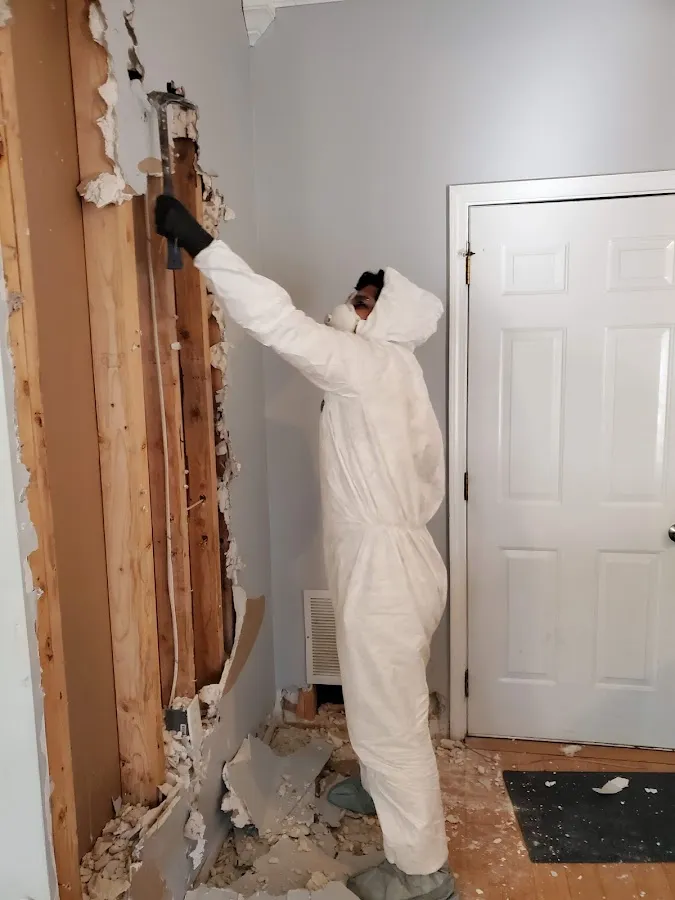 Odor Removal & Deodorization in Brighton, NY